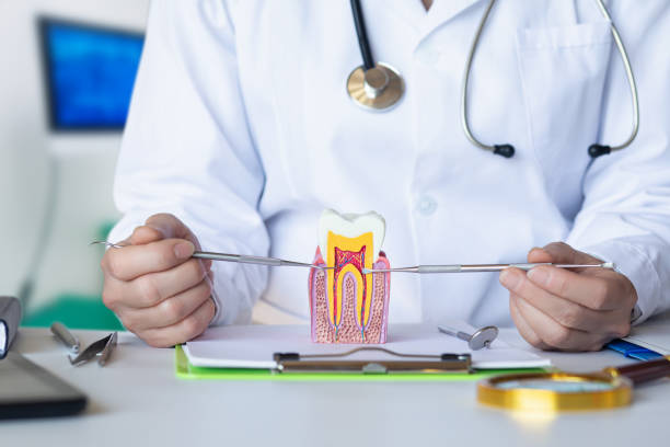 Best 24-Hour Emergency Dentist in Mcdonough, GA